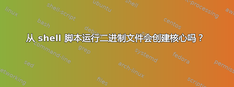 从 shell 脚本运行二进制文件会创建核心吗？