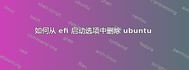 如何从 efi 启动选项中删除 ubuntu