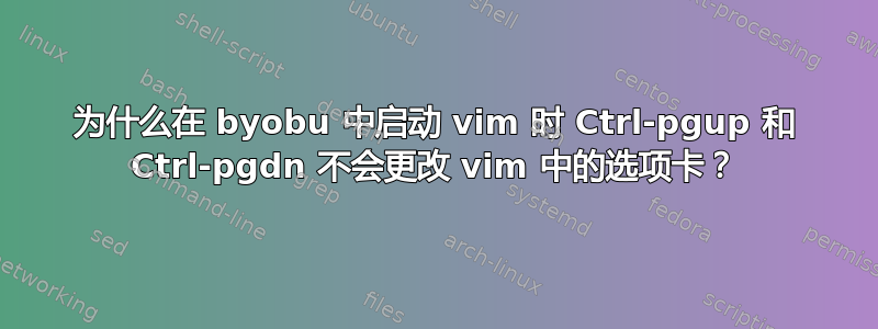 为什么在 byobu 中启动 vim 时 Ctrl-pgup 和 Ctrl-pgdn 不会更改 vim 中的选项卡？