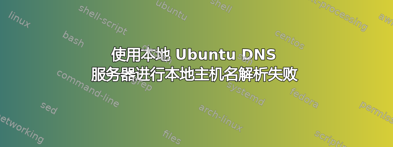 使用本地 Ubuntu DNS 服务器进行本地主机名解析失败