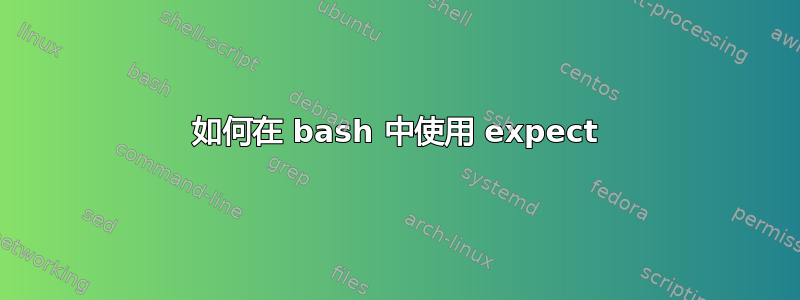 如何在 bash 中使用 expect