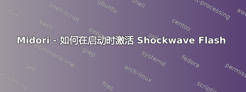 Midori - 如何在启动时激活 Shockwave Flash