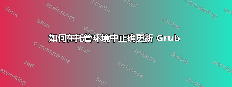 如何在托管环境中正确更新 Grub