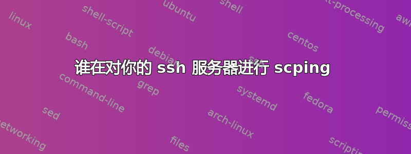 谁在对你的 ssh 服务器进行 scping