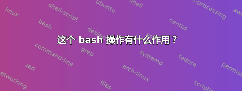 这个 bash 操作有什么作用？ 