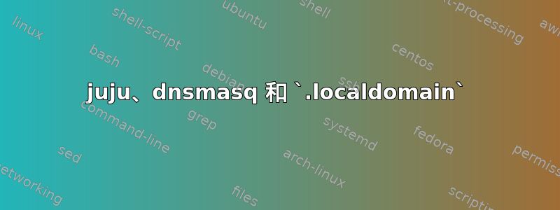 juju、dnsmasq 和 `.localdomain`