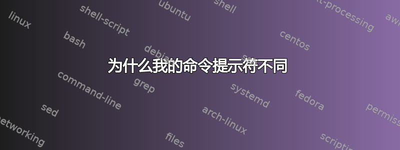 为什么我的命令提示符不同