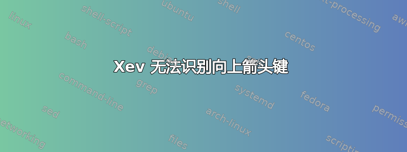 Xev 无法识别向上箭头键