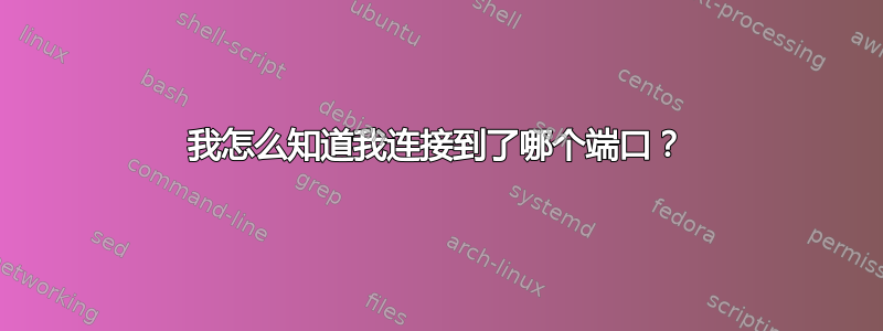 我怎么知道我连接到了哪个端口？