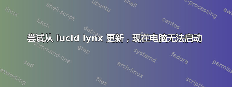 尝试从 lucid lynx 更新，现在电脑无法启动