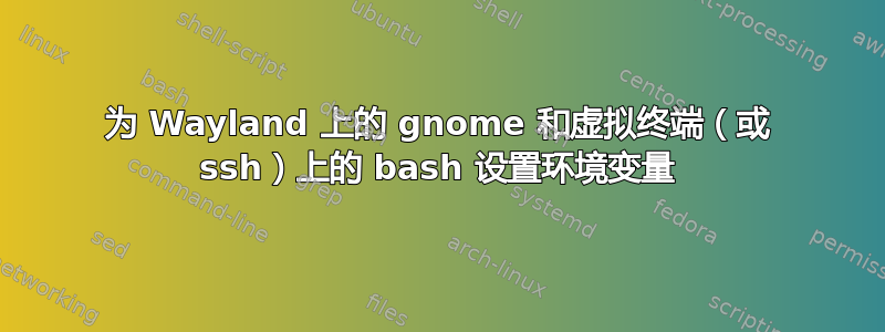 为 Wayland 上的 gnome 和虚拟终端（或 ssh）上的 bash 设置环境变量