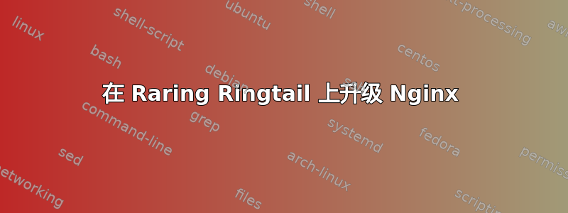 在 Raring Ringtail 上升级 Nginx