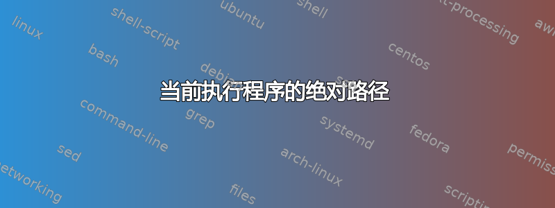 当前执行程序的绝对路径