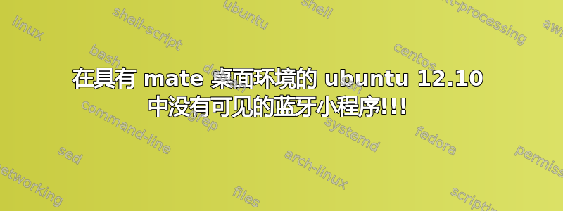 在具有 mate 桌面环境的 ubuntu 12.10 中没有可见的蓝牙小程序!!!