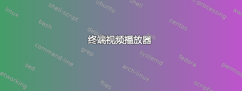 终端视频播放器