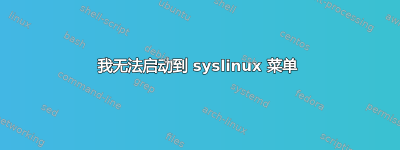 我无法启动到 syslinux 菜单