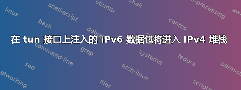 在 tun 接口上注入的 IPv6 数据包将进入 IPv4 堆栈