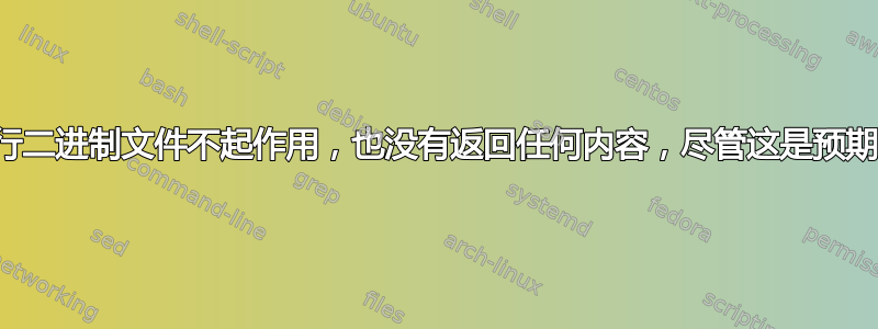 执行二进制文件不起作用，也没有返回任何内容，尽管这是预期的