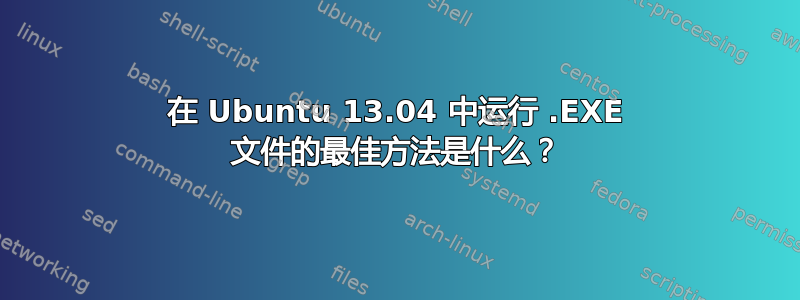 在 Ubuntu 13.04 中运行 .EXE 文件的最佳方法是什么？