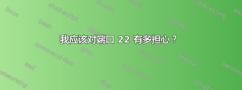 我应该对端口 22 有多担心？