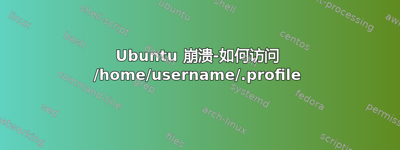 Ubuntu 崩溃-如何访问 /home/username/.profile