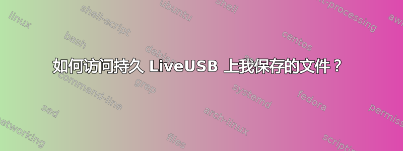 如何访问持久 LiveUSB 上我保存的文件？