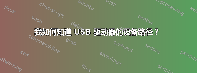 我如何知道 USB 驱动器的设备路径？