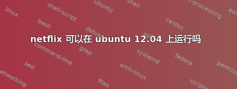 netflix 可以在 ubuntu 12.04 上运行吗 