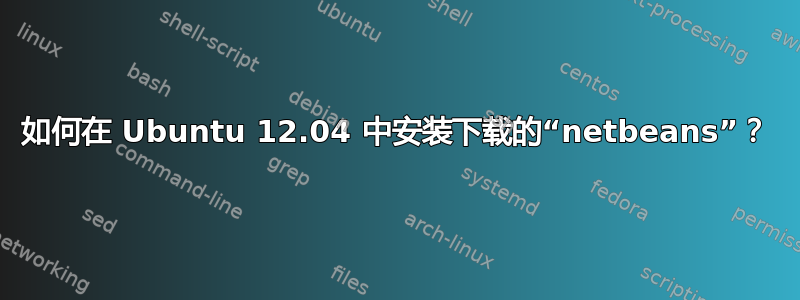 如何在 Ubuntu 12.04 中安装下载的“netbeans”？