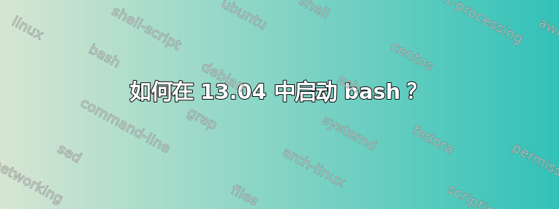 如何在 13.04 中启动 bash？