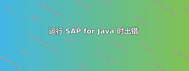 运行 SAP for Java 时出错