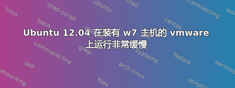 Ubuntu 12.04 在装有 w7 主机的 vmware 上运行非常缓慢