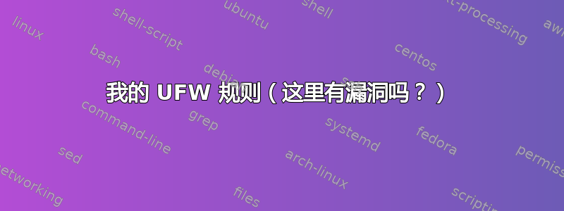 我的 UFW 规则（这里有漏洞吗？）