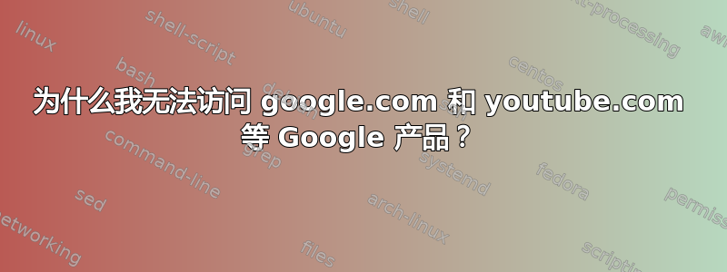 为什么我无法访问 google.com 和 youtube.com 等 Google 产品？