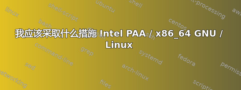 我应该采取什么措施 Intel PAA / x86_64 GNU / Linux