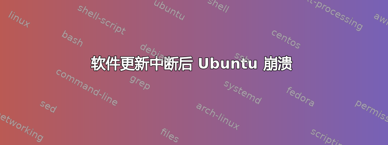 软件更新中断后 Ubuntu 崩溃