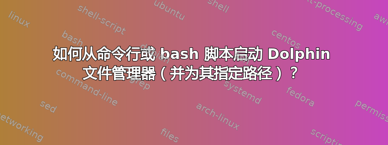 如何从命令行或 bash 脚本启动 Dolphin 文件管理器（并为其指定路径）？