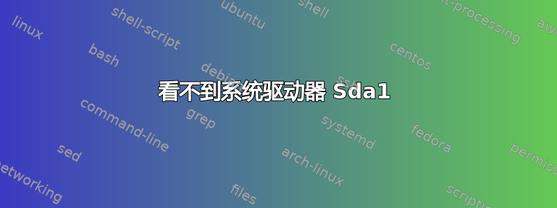 看不到系统驱动器 Sda1