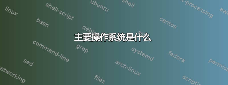 主要操作系统是什么