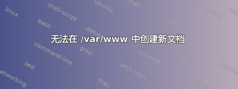 无法在 /var/www 中创建新文档