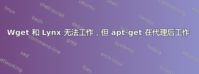 Wget 和 Lynx 无法工作，但 apt-get 在代理后工作