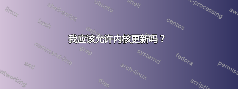 我应该允许内核更新吗？