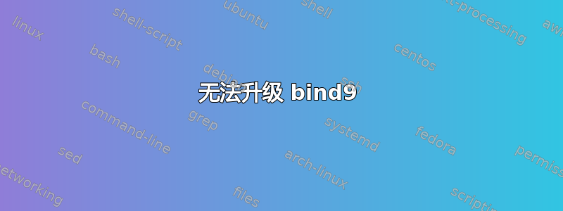 无法升级 bind9