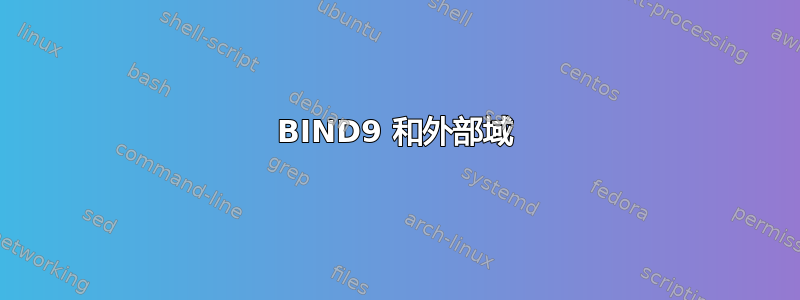 BIND9 和外部域