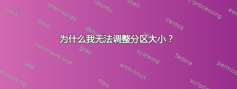 为什么我无法调整分区大小？