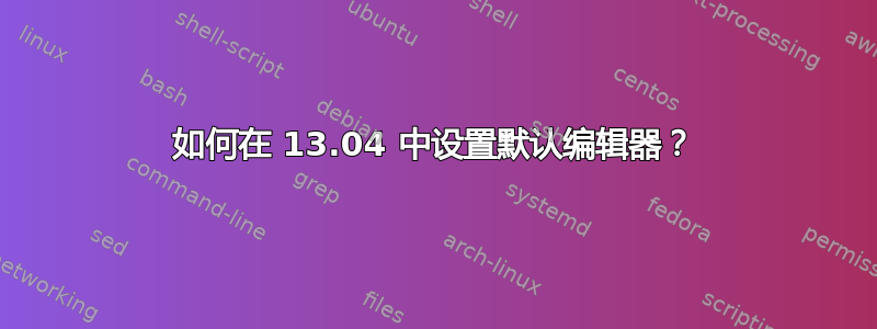 如何在 13.04 中设置默认编辑器？