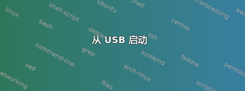 从 USB 启动 