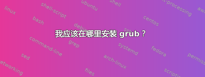 我应该在哪里安装 grub？