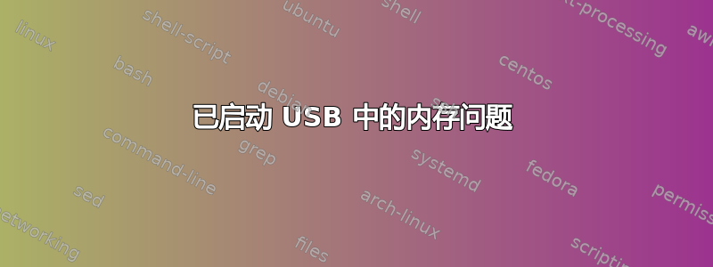 已启动 USB 中的内存问题