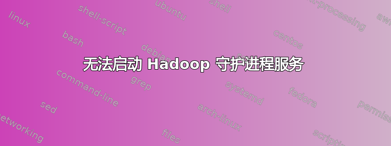 无法启动 Hadoop 守护进程服务